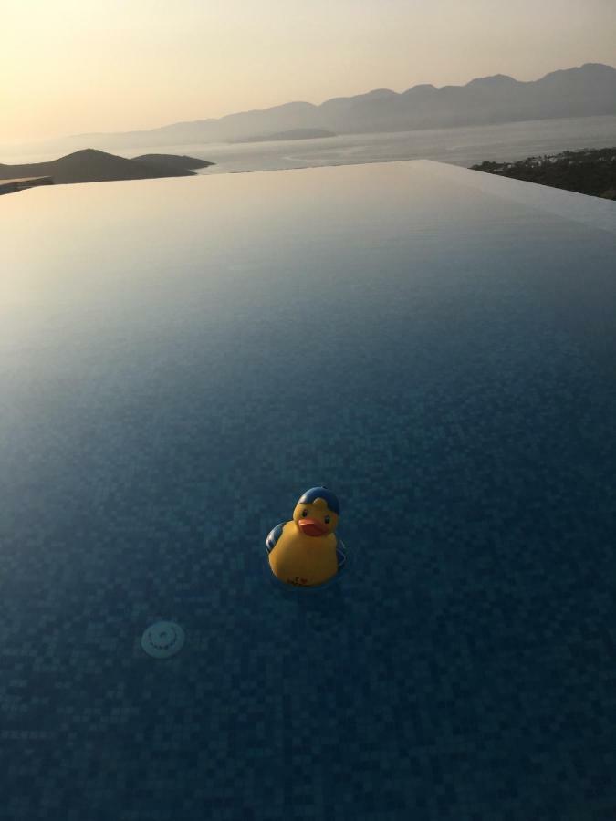 Villa Estee, Luxury Villa With Private Infinity Pool And Jacuzzi Elounda Екстериор снимка